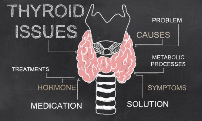 Conventional vs. Natural: Exploring Treatment Options for Thyroid Issues