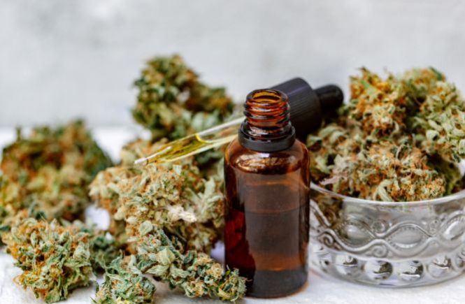 Prescribed Cannabis Oil vs. Vaping Medical Cannabis Flower: What’s Best for You?