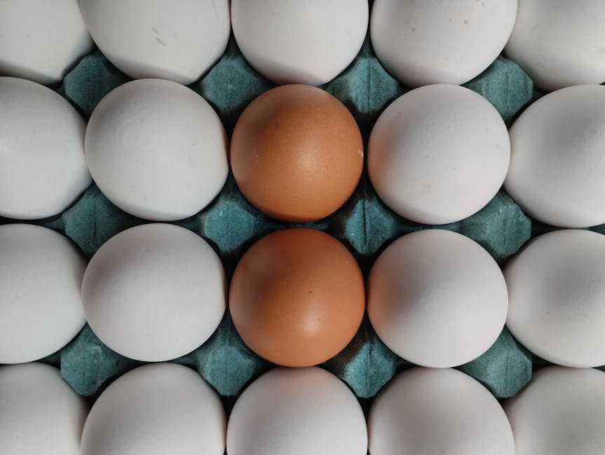 Top view of white and brown eggs arranged on a blue carton, highlighting contrast.