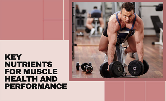 Building Strength Naturally: Key Nutrients for Boosting Muscle Health and Performance